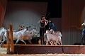 _42I3887_Pascal_Lahure