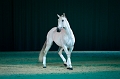 _42I3422_Pascal_Lahure