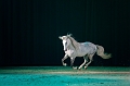 _42I3455_Pascal_Lahure