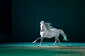 _42I3456_Pascal_Lahure