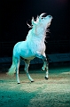 _42I3460_Pascal_Lahure