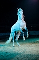 _42I3462_Pascal_Lahure