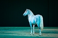 _42I3467_Pascal_Lahure