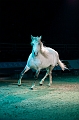 _42I3471_Pascal_Lahure