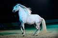 _42I3475_Pascal_Lahure