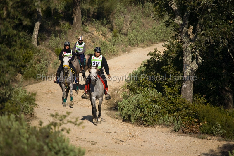 IMG_2504PL.JPG