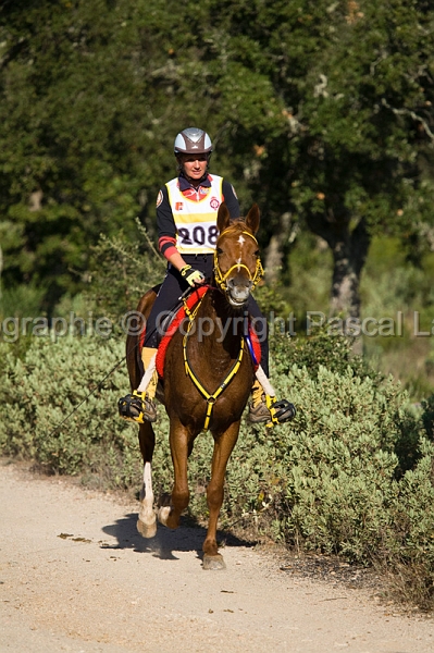 IMG_2528PL.JPG