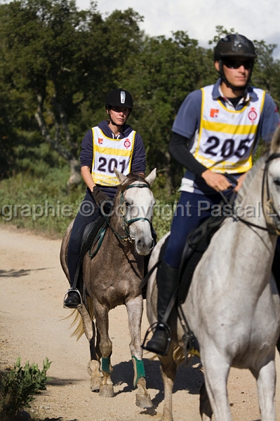 IMG_2583PL.JPG