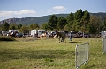 IMG_2621PL