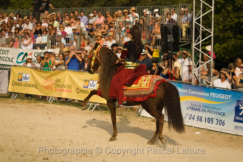 IMG_1858PL.JPG