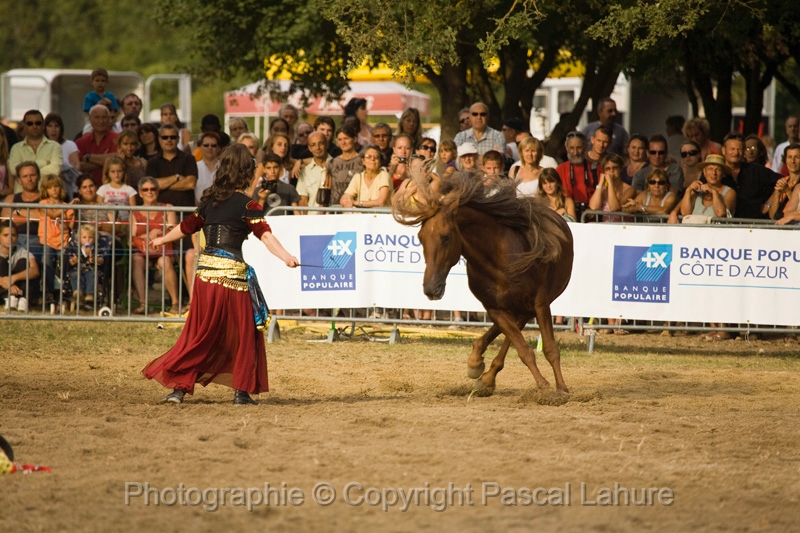 IMG_1889PL.JPG