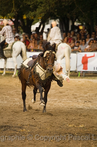 IMG_1927PL.JPG