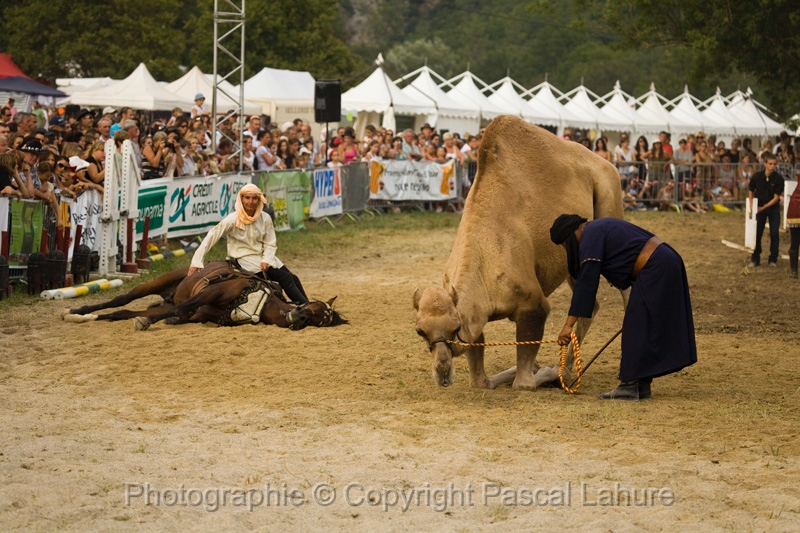 IMG_1943PL.JPG