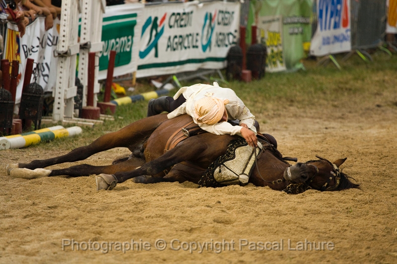 IMG_1946PL.JPG