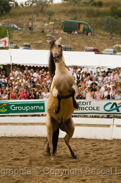 IMG_2030PL.JPG
