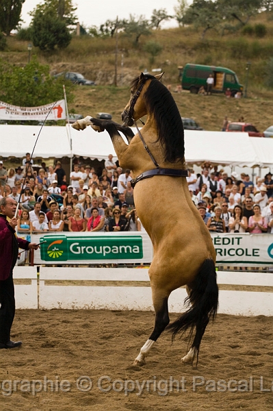 IMG_2039PL.JPG