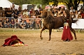 IMG_1886PL