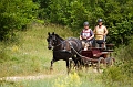 IMG_8429PLi