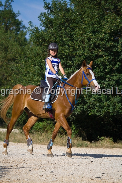 IMG_8532PL.JPG