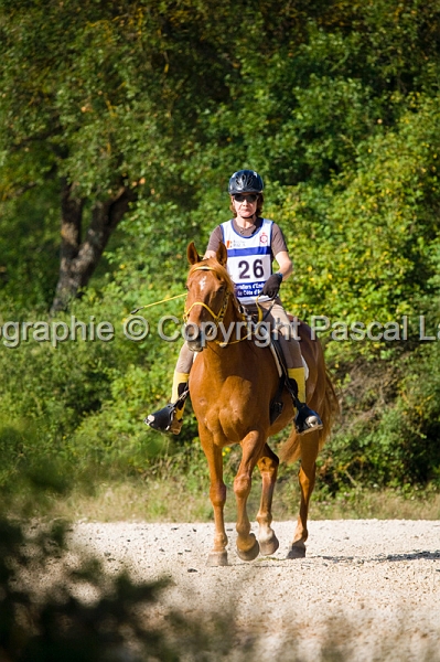 IMG_8553PL.JPG