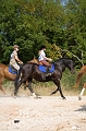 IMG_8601PL