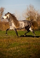 EJ9C0505_Pascal_Lahure