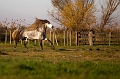 EJ9C0509_Pascal_Lahure