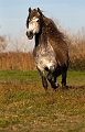 EJ9C0529_Pascal_Lahure