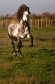 EJ9C0564_Pascal_Lahure