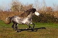 EJ9C0579_Pascal_Lahure