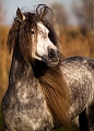 EJ9C0587_Pascal_Lahure