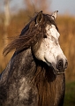 EJ9C0588_Pascal_Lahure