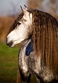 EJ9C0627_Pascal_Lahure