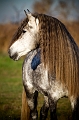 EJ9C0632_Pascal_Lahure