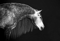 EJ9C1209_Pascal_Lahure