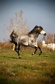 EJ9C1269_Pascal_Lahure