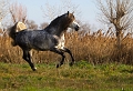EJ9C1274_Pascal_Lahure