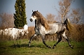 EJ9C1298_Pascal_Lahure