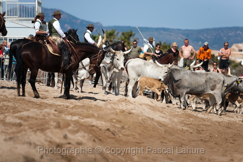 _F5Q6584_Pascal_Lahure.JPG