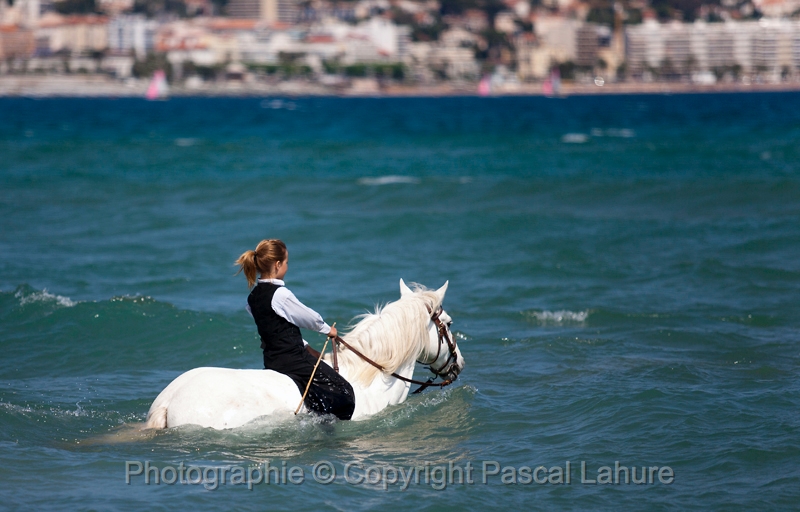 _F5Q6638_Pascal_Lahure.JPG