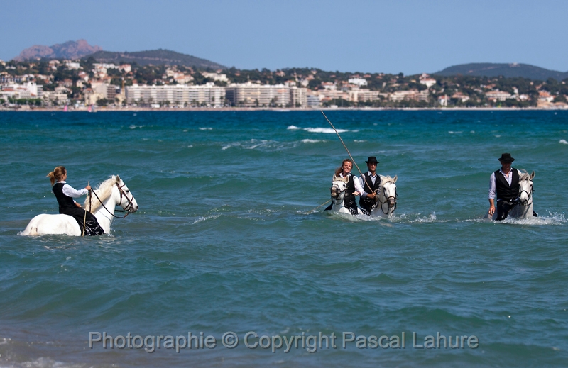 _F5Q6639_Pascal_Lahure.JPG