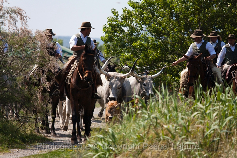 _MG_3907_Pascal_Lahure.JPG