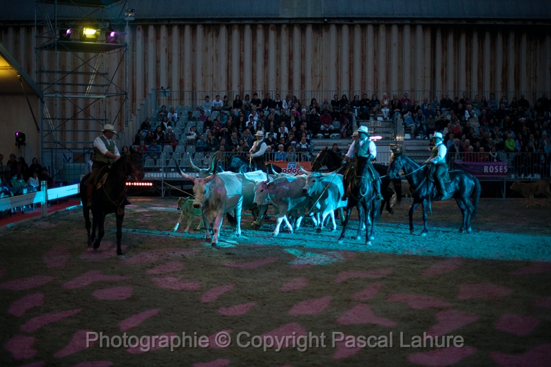 _F5Q9508_Pascal_Lahure.JPG