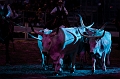 _42I1156_Pascal_Lahure