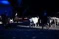 _42I1403_Pascal_Lahure