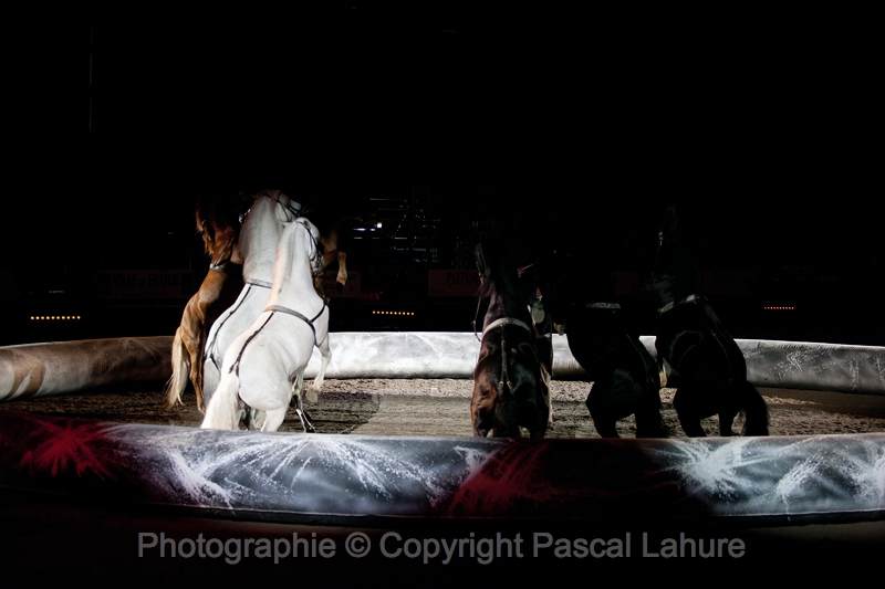 _42I1424_Pascal_Lahure.JPG
