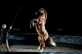 _42I1444_Pascal_Lahure