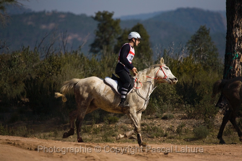 IMG_5320PL.JPG