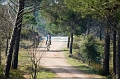 IMG_4986PL