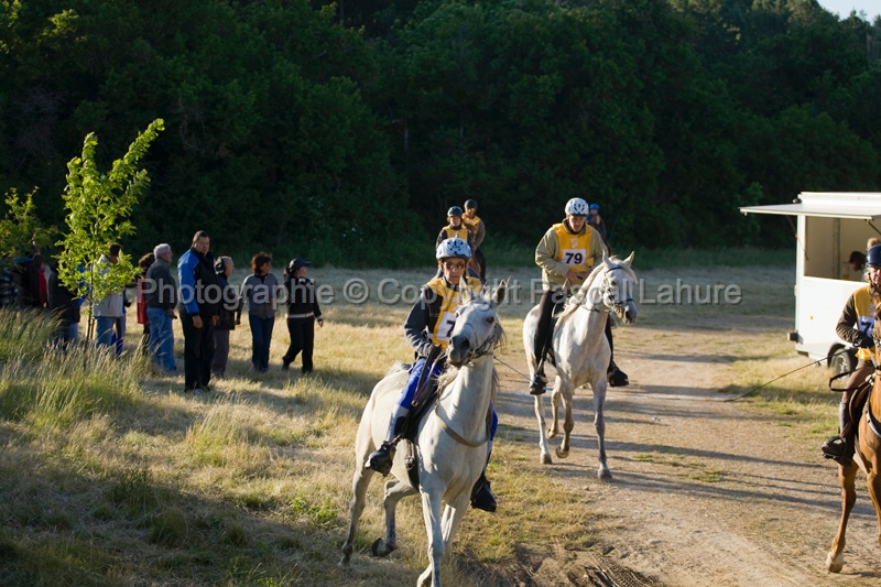 IMG_7886PL.JPG